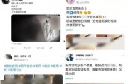 国产成人专区